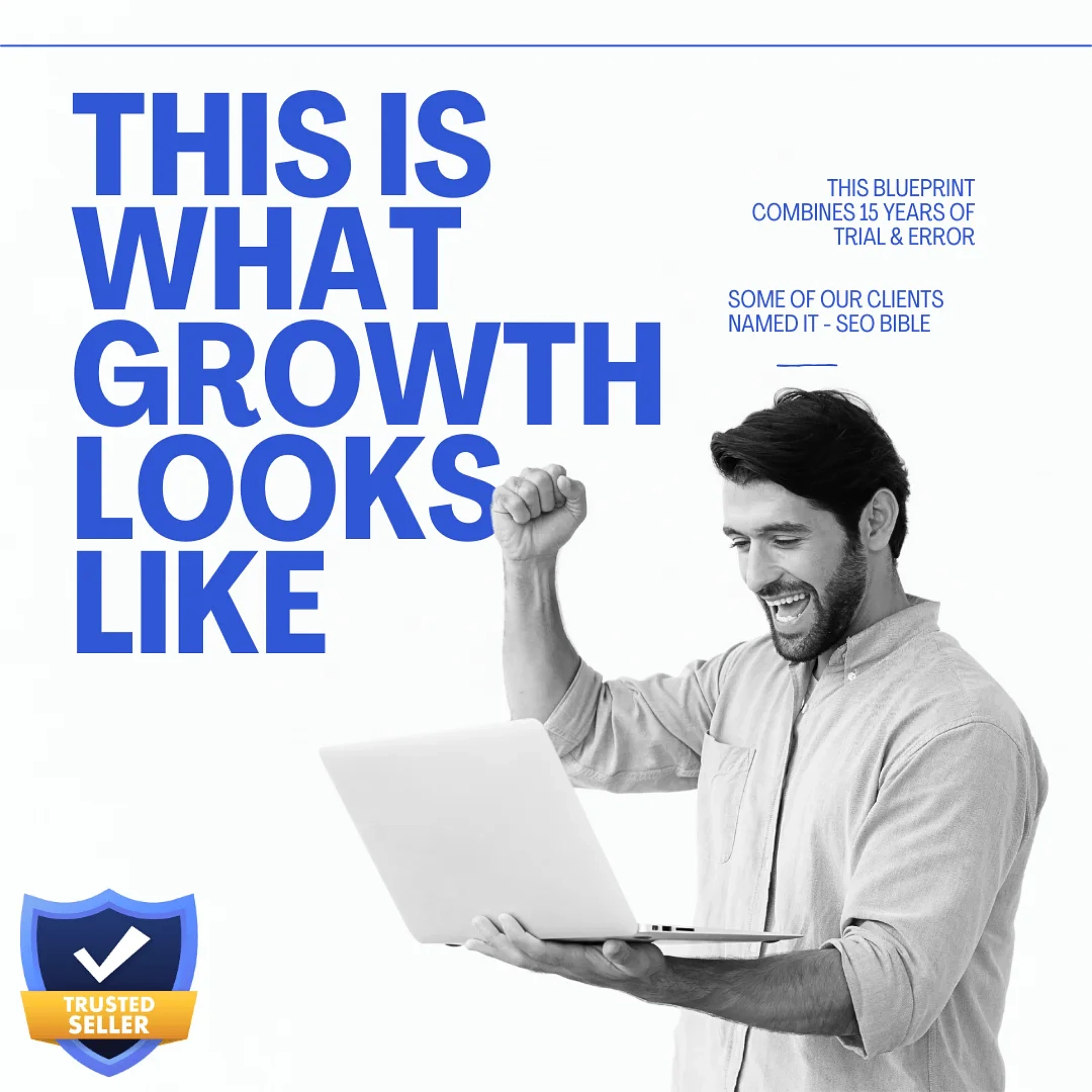 SEO for Financial Advisors: The Complete Guide to Ranking, Leads, and Trust 7 Growth poster for the Niche Website Marketing Blueprint, with a business owner celebrating results at a laptop